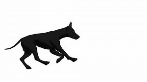 Dog Running On White Background Stock Footage Video (100% Royalty-free) 940057 | Shutterstock