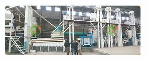 [Hot Item] 5 T Per Hour Complete Cleaning Coffee Production Line Coffee Bean Processing Line Sorting and Grading Machine