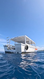 3.8K views · 59 reactions | What a stunning day to dive into the...