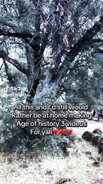 Exploring Age of History 3 Gameplay and Strategies