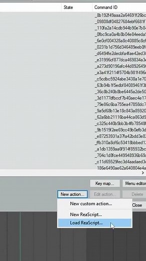 install a script in REAPER(DAW)