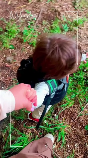 N⁴ ♥️ su TikTok