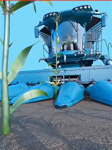 🌽 Inside a Modern Corn Harvesting Machine 🚜⚙️