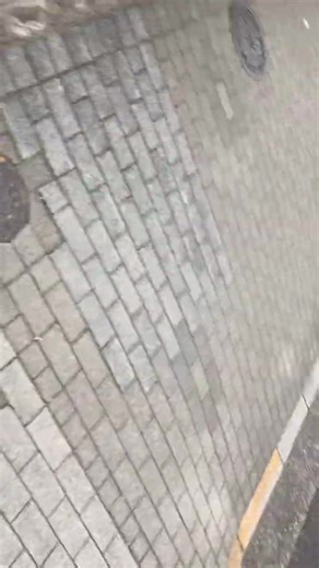 第6話『人間讃歌・聖徳太子』からの抜粋④ https://youtube.com/@zerooftheearth