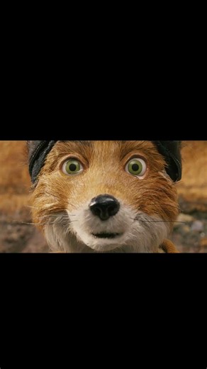 I don’t want to live in a hole anymore 🦊 | Fantastic Mr