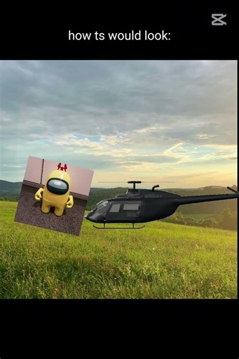 HELP i ate a helicopter