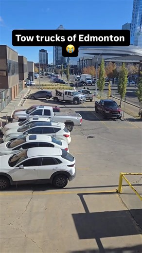Tow trucks of Edmonton 😭 Credit: @bigcheddar Follow @mustbeedmonton for more Edmonton content 🇨🇦 We aim to keep our space respectful. Hate/racism comments are not tolerated and will be removed to the best of our capabilities. #mustbeedmonton #mustbe #calgary #alberta #canada
