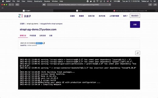 如何把 Strapi   Postgres 部署到服务器?