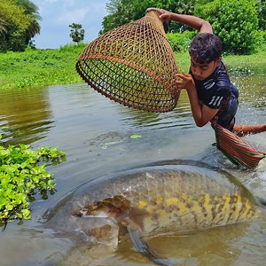 Really Amazing Big Fish Hunting Video In Village Pond | Rural Fishing BD