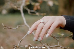 Spring Background Videos, Download The BEST Free 4k Stock Video Footage & Spring Background HD Video Clips