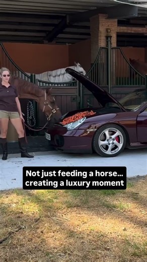 POV: Even the Horse Eats from a Porsche 🐎🏎️ Luxury Lifestyle 👑 Katia Patsvald