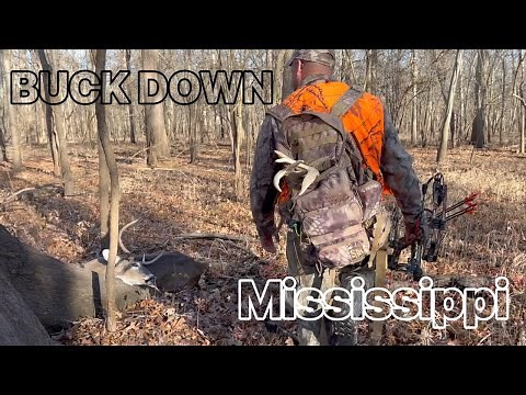 Public land bow hunting // Mississippi // Late Season // Run and Gun // Bow Hunting Whitetails