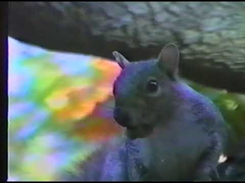 Coolidge Corner Theater 1998, Projection booth