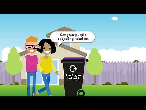 What goes in your purple bin