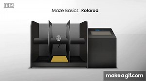 Rotarod on Make a GIF