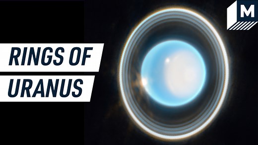 The Webb Telescope finally shows us Uranus' glorious rings