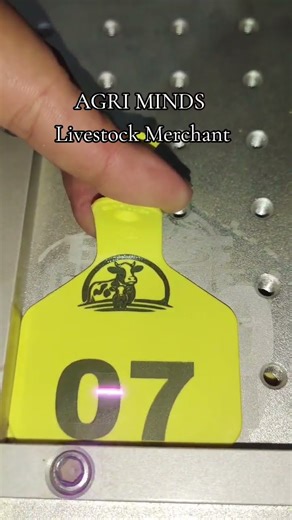 Cattle Z-Tags 🐄🔖 | Premium Animal Identification for Dairy & Livestock Farms!Weather-proof
