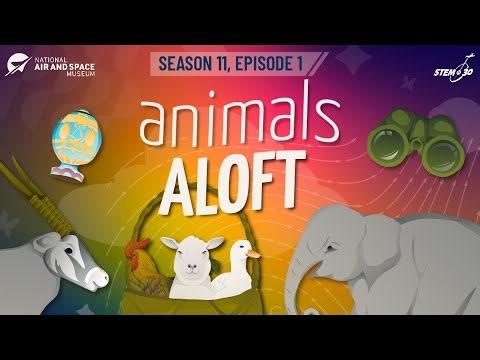 STEM in 30: Animals and the Aerospace Industry