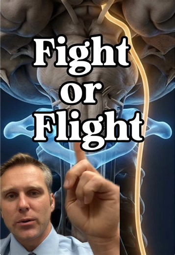 Fight or Flight