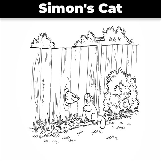 IT'S A DOG'S LIFE | Simon's Cat #Cat #Cats #LoveCats #Animals #simoncat | Hai Anh Em