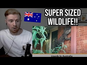 Reaction To 50 Photos That Prove Australia Is Not Like Any Other Country