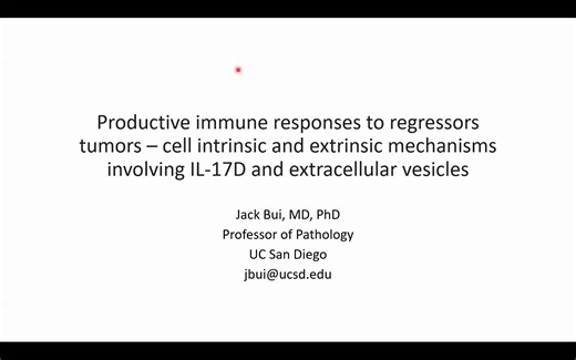 Productive immune responses to regressors tumors