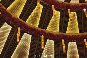 Best Xxxi 2024 Wallpaper Videos