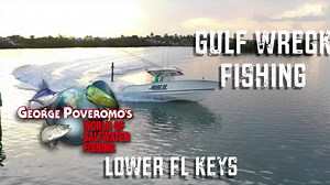 6.8K views · 119 reactions | George Poveromo’s World of Saltwater Fishing kicks off his 21st season 8 a.m. (ET) Sunday, Jan. 3, on the Discovery Channel. Basing out of Parmer's Resort on Little Torch Key, Poveromo and Captain Andrew Tipler fish the Gulf wrecks behind Cudjoe Key, in the Lower #FloridaKeys. Cobia, snappers, groupers and more highlight their adventure. For complete airing schedule, visit https://georgepoveromo.com. | The Florida Keys & Key West | Facebook
