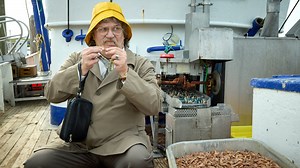 „Horst Schlämmer sucht das Glück“: So sieht der perfekte Tag für die Kultfigur aus & deshalb solltet ihr ins Kino gehen