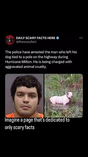 Thescaryfact ™ on Instagram: "This person is Giovanny Aldama Garcia, a 23-year-old man who gained notoriety for leaving his dog tied to a pole during Hurricane Milton. The incident occurred when Garcia reportedly evacuated to Georgia, claiming he could not bring his dog, Jumbo, with him."