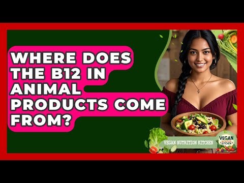Where Does The B12 In Animal Products Come From? - Vegan Nutrition Kitchen