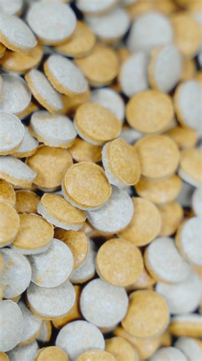 Tetra - Aquaristik hautnah erleben on Instagram: "Ein weiterer Blick in unsere Produktion! 🔍 Dieses Mal sind unsere Tetra TabiMin Tablets die Protagonisten. ✨ Wie entsteht eigentlich die Tabletten-Form und welchen Weg nehmen die Tablets auf sich, bevor sie später zu deinen Fischen kommen? Schaut mal rein! 📹 #tetra #tetramin #produktion #behindthescenes"