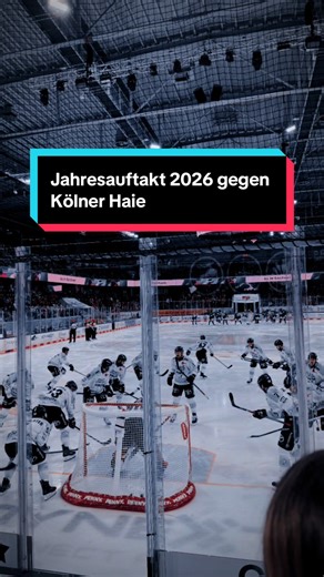 Heimspiel 2026: Eislöwen vs. Kölner Haie
