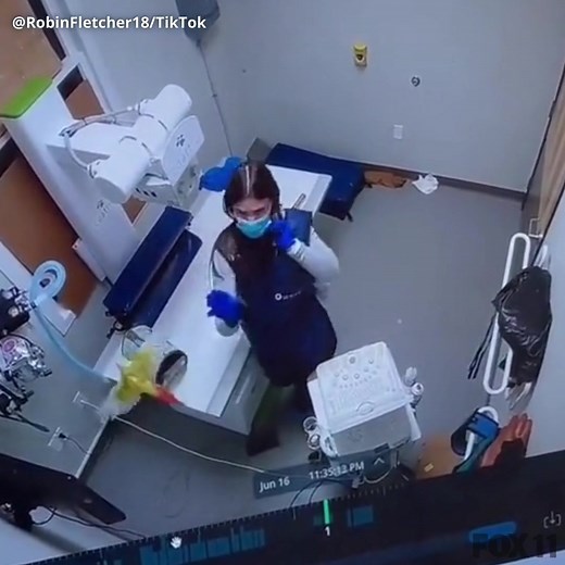 504K views · 1.4K reactions | Womp womp An unlucky vet tech was tasked with giving this pesky patient an X-ray. STORY >> https://bit.ly/3wGeWaS | FOX 11 Los Angeles | Facebook