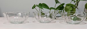 Arcoroc Arcade Bengale Clear Tempered Glass Bowls Set - Etsy