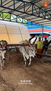 115K views · 578 reactions | Almond Oil Making - wooden Cold pressed Oil #Oil #almond #oilmaking | South Indian Food | Facebook