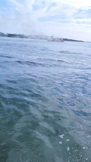 I pray everyone is okay #panamacity #florida #prayers #panamacitybeachflorida | Shell Island Dolphin Tours LLC