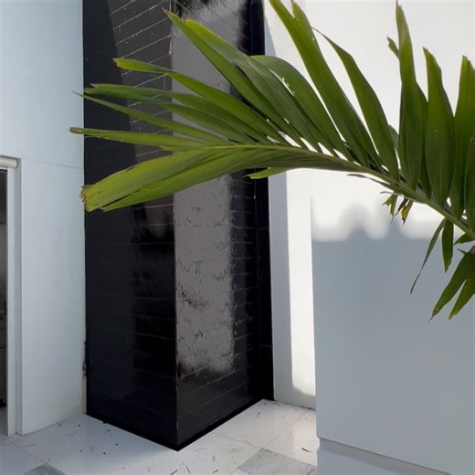 S I D N E Y on Instagram: "🥥 @fashionnova Search: Ocean Dip Fishnet & Seashells 2 Piece Bikini"