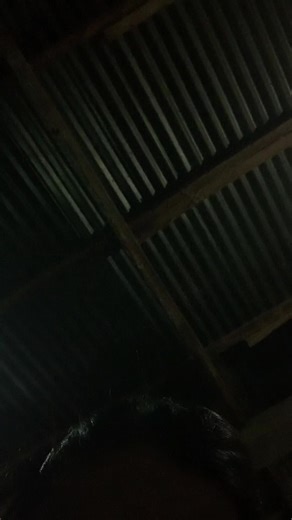 Gia Marie Santural (@filigreegia_)’s videos with original sound - Gia Marie Santural