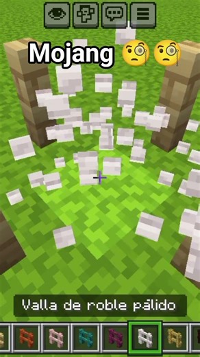 #minecraft mojang🧐🧐