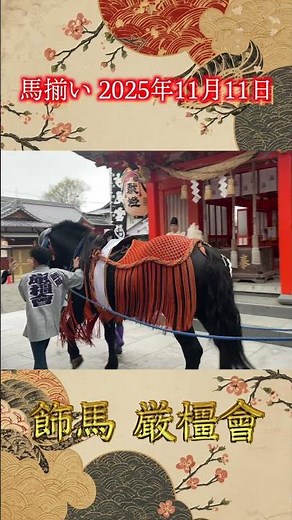 【八代妙見祭】飾馬・厳橿會 11月11日 馬揃い #熊本県八代市 #妙見祭 #馬揃い