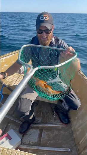HIS FIRST COD! | DEEP SEA FISHING | #fishing #codfishing #oceanfishing #deepseafishing #tinyboat