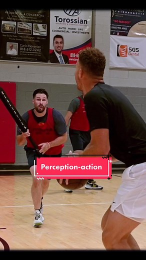 Play maintains the perception-action coupling, whereas drills isolate the action. When perception and action are coupled, the perceptual system picks up relevant information from the environment that we process and use to guide our behaviors or actions. Most drills ignore the perceptual system because performance does not rely on the relevant cues in the environment; instead, the action is preplanned and determined by the instructions of the drill or the coach. #FomotionalFinds #fyp #basketball