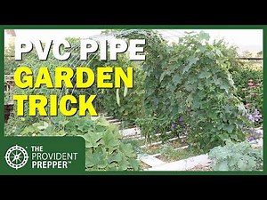 Time-Saving DIY Garden Watering Hack