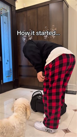 Just Stretchy on Instagram: "“I’ve tried everything for back pain — chiropractors, decompression therapy, crazy stretches, you name it. Nothing actually worked long term… until I strapped these on. The first time I hung upside down, I felt that deep release in my spine, like all that tension I’ve built up from years of training just melted away. If you’ve ever dealt with lower back pain or sciatica, this is a total game-changer. It’s simple, it’s natural, and it works. I use these boots after ev