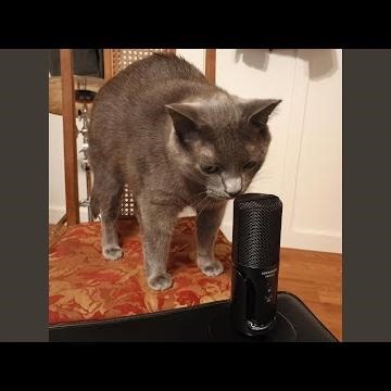 Hope is Where the Heart Lives