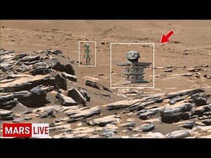 NASA's Newly Released Video! Perseverance See on Mars!That’s Not a Rock… It Looks ALIVE! 😨"