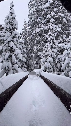 4.3K views · 47 reactions | Making Christmas Treats Out In The Cold Amidst The Snow Has Never Been Cooler Than This ‍❄️⛄Rate His Skills | BONFIRE ADVENTURES AND EVENTS | Facebook