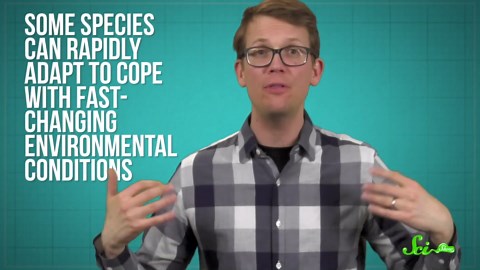 7 Times Humans Changed Animal Evolution