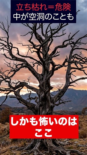 Do dead trees become hard or soft? Leaving them unattended is strictly prohibited. #shorts #gardener